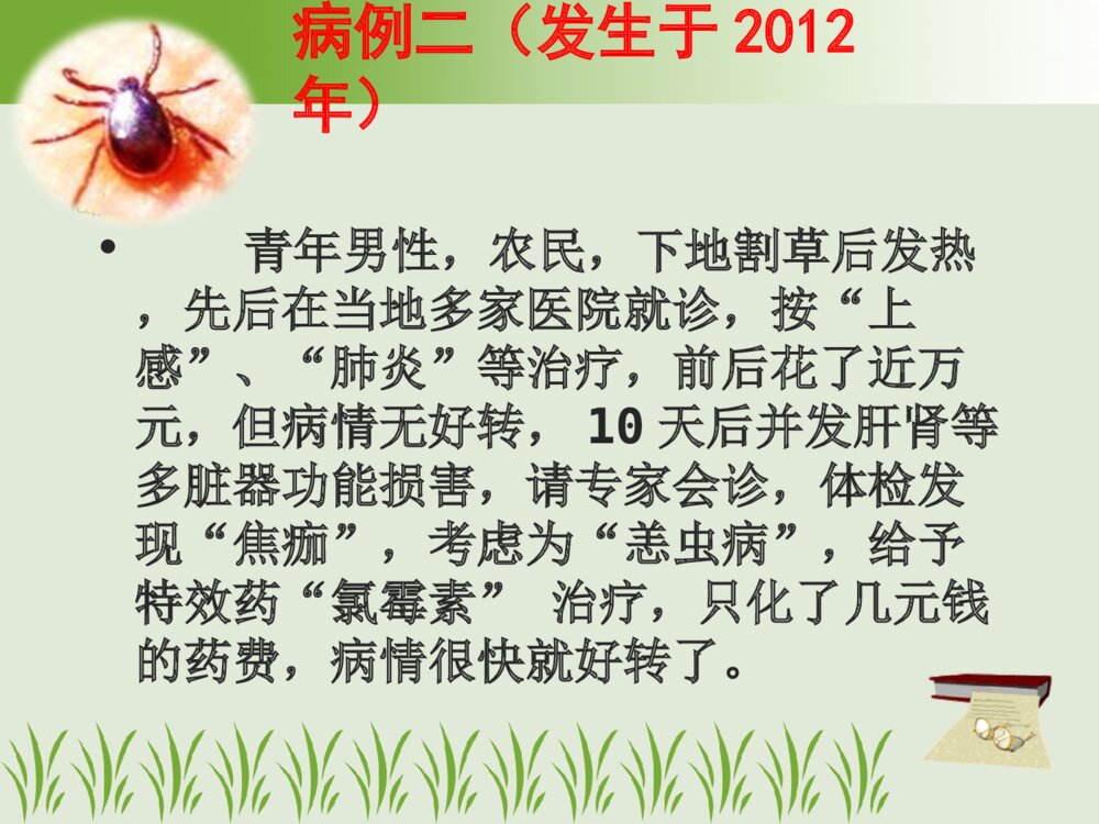 恙虫病的护理及案例ppt课件下载3