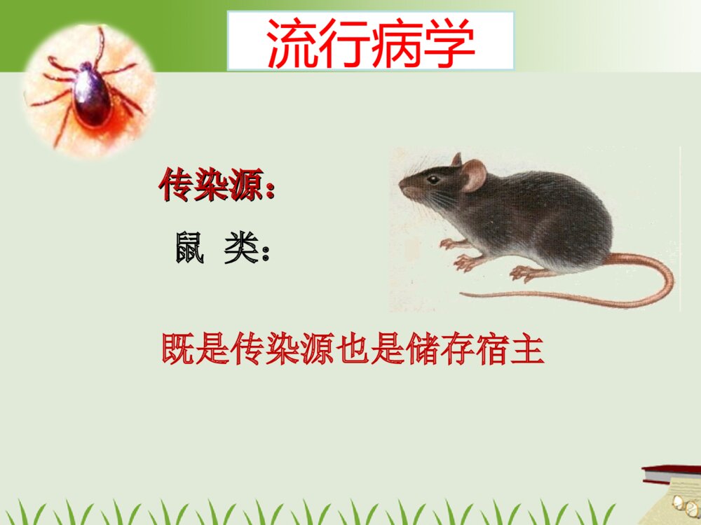恙虫病的护理及案例ppt课件下载7