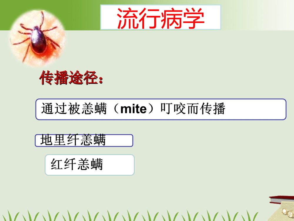 恙虫病的护理及案例ppt课件下载8