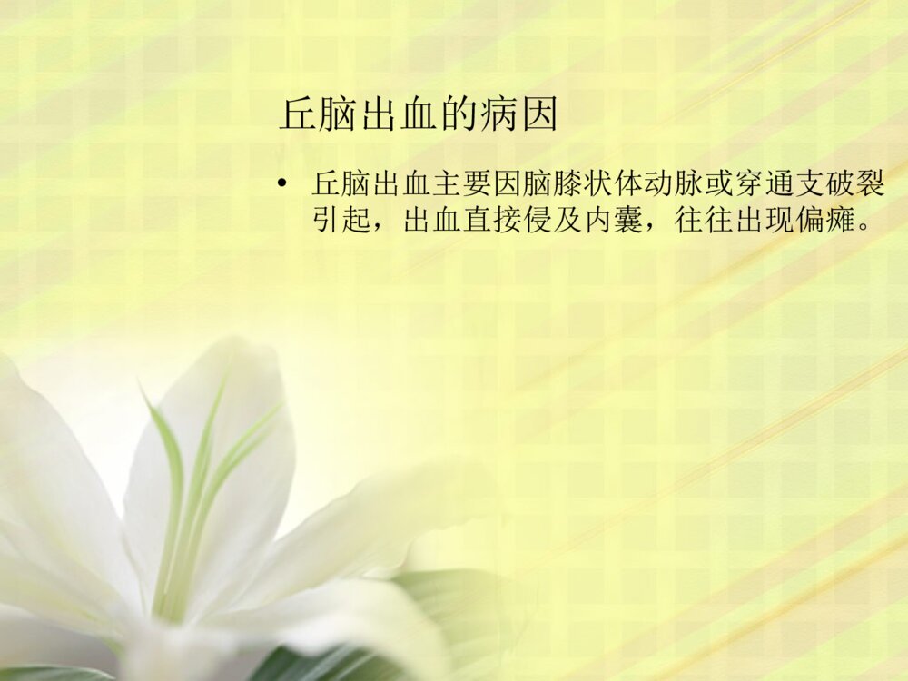 丘脑出血护理查房ppt课件6