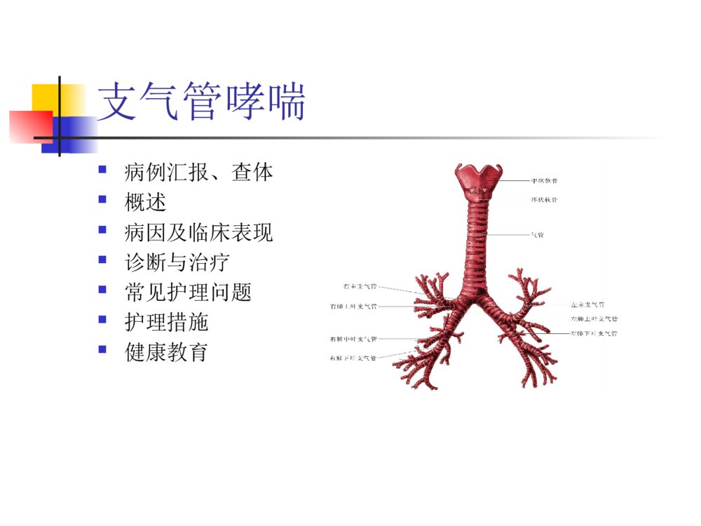 支气管哮喘护理查房ppt课件下载2