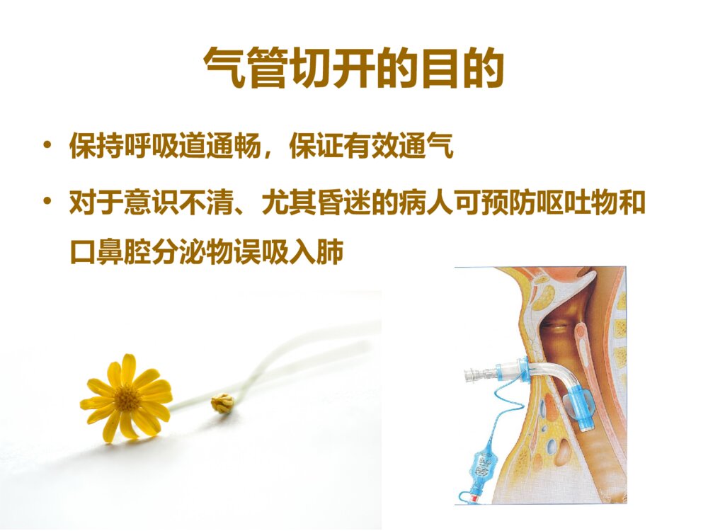 气管切开患者伤口的护理ppt课件下载5