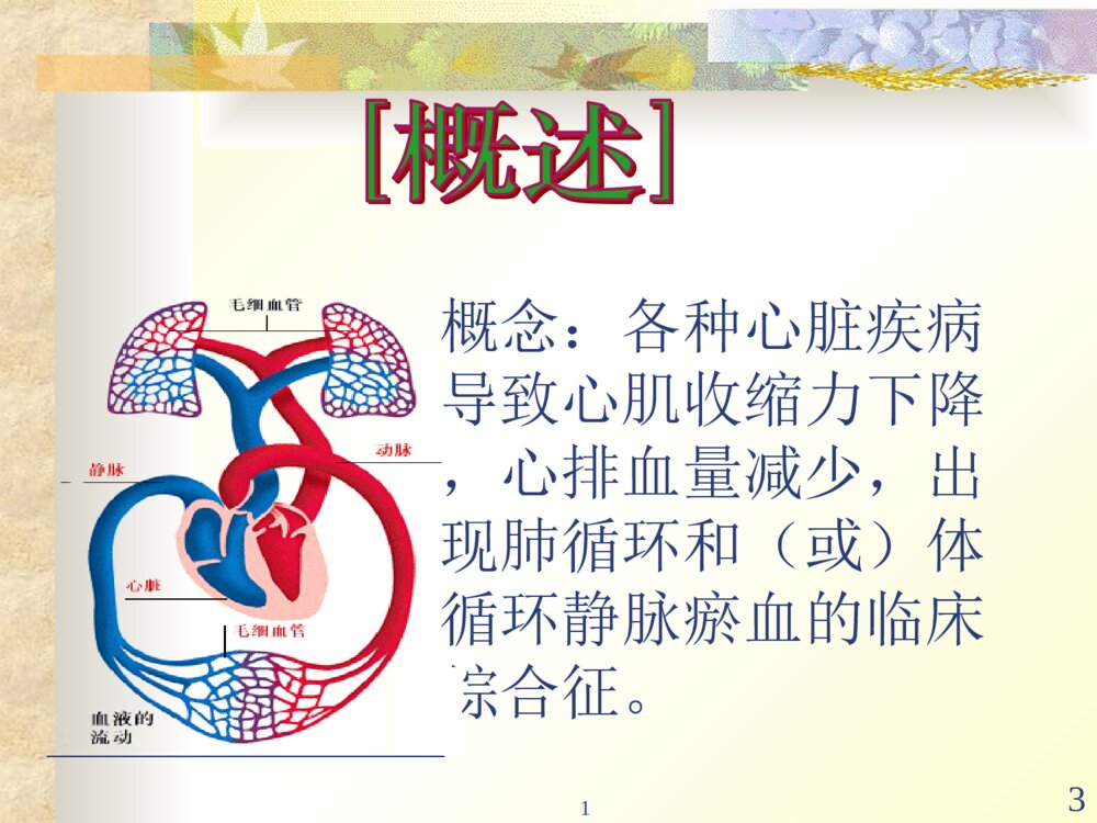 心力衰竭的护理的教学ppt课件下载3