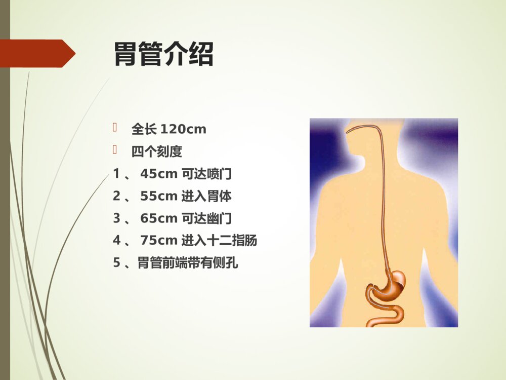 鼻饲病人的护理PPT课件5