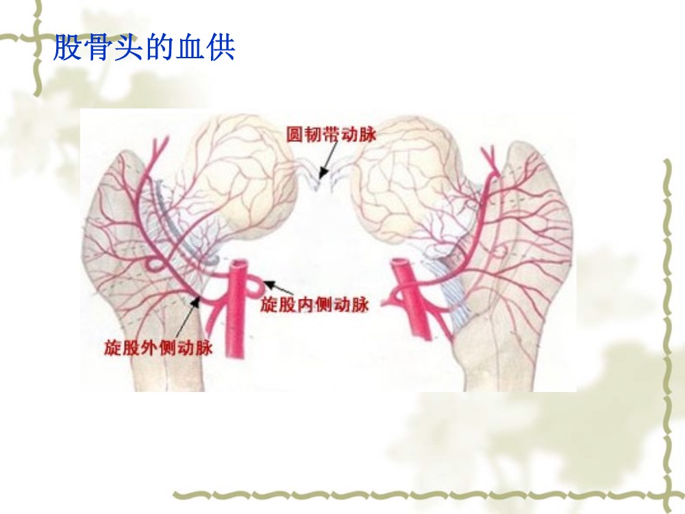 股骨颈骨骨折术后护理查房ppt课件下载10