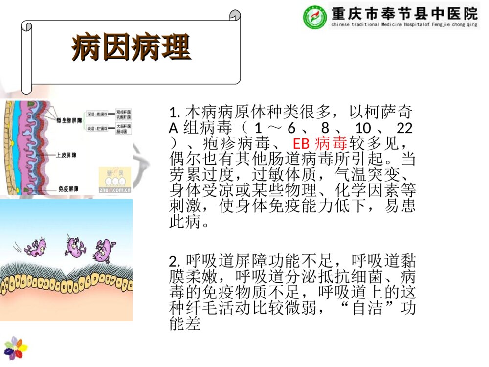儿童疱疹性咽峡炎的护理查房ppt课件下载5