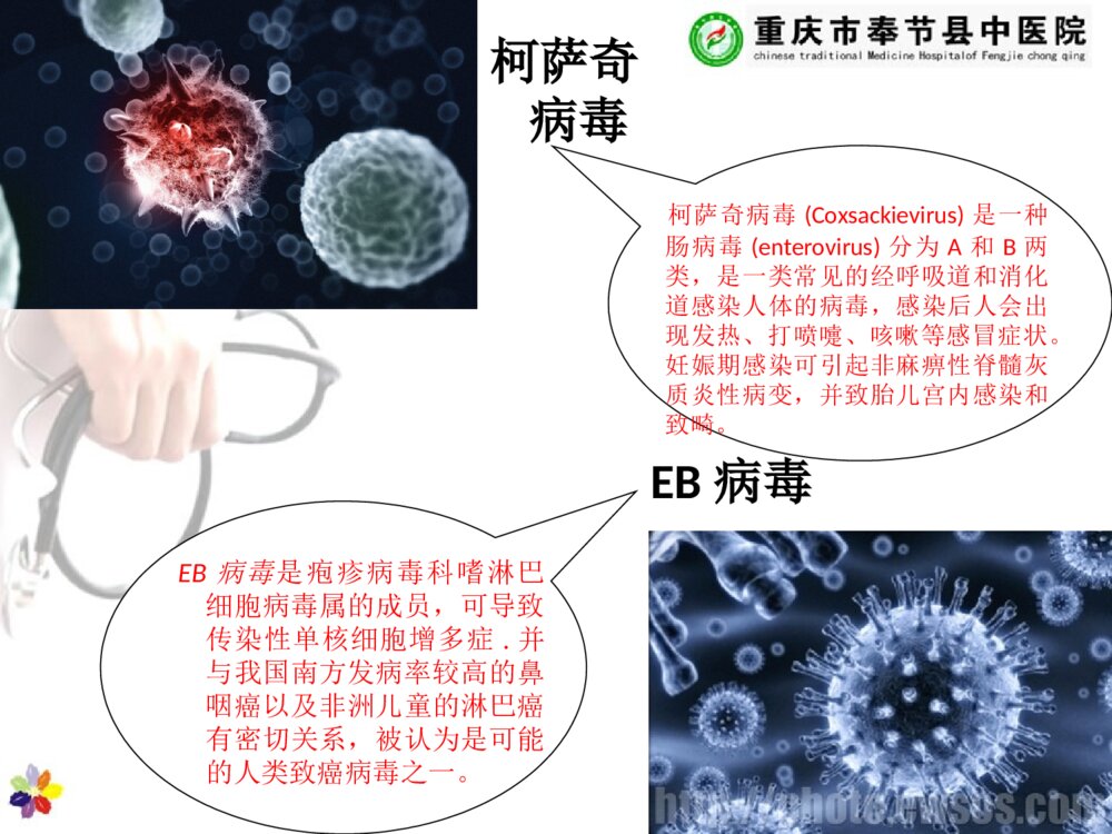 儿童疱疹性咽峡炎的护理查房ppt课件下载6
