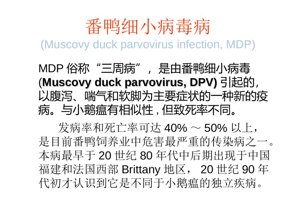 番鸭细小病毒病ppt课件下载1