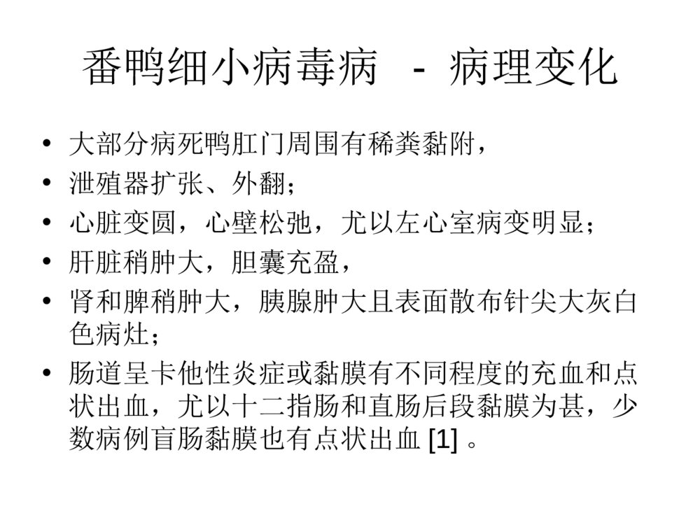番鸭细小病毒病ppt课件下载5