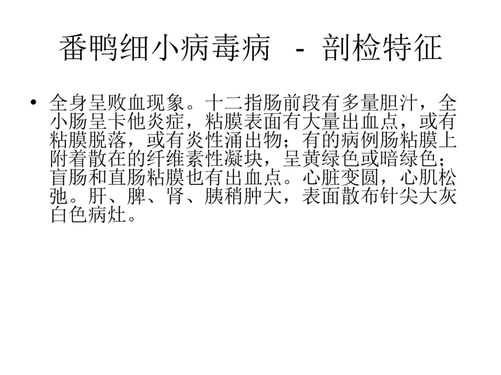 番鸭细小病毒病ppt课件下载6