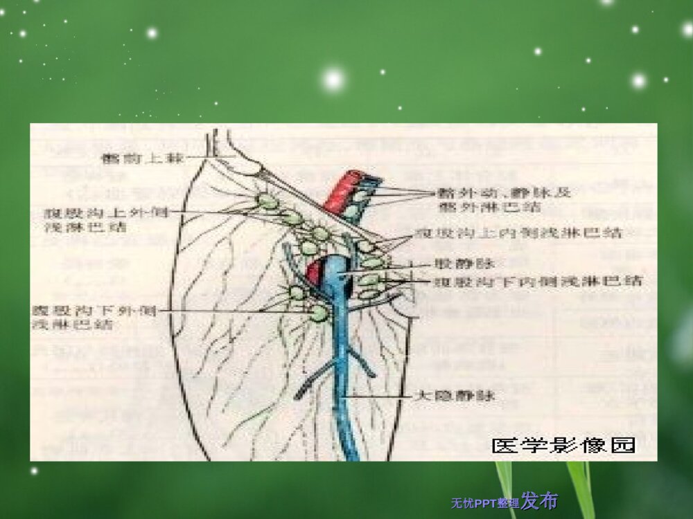儿科常用基础护理操作PPt课件下载4