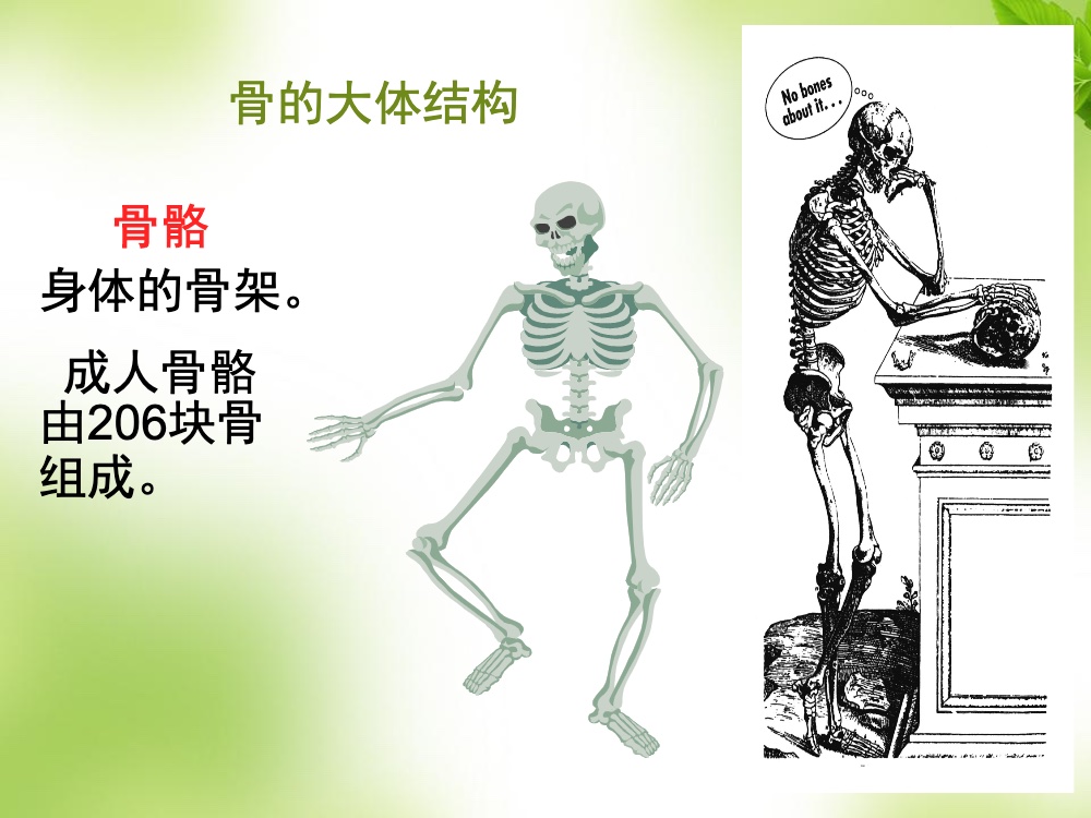 骨质疏松的科普ppt课件2