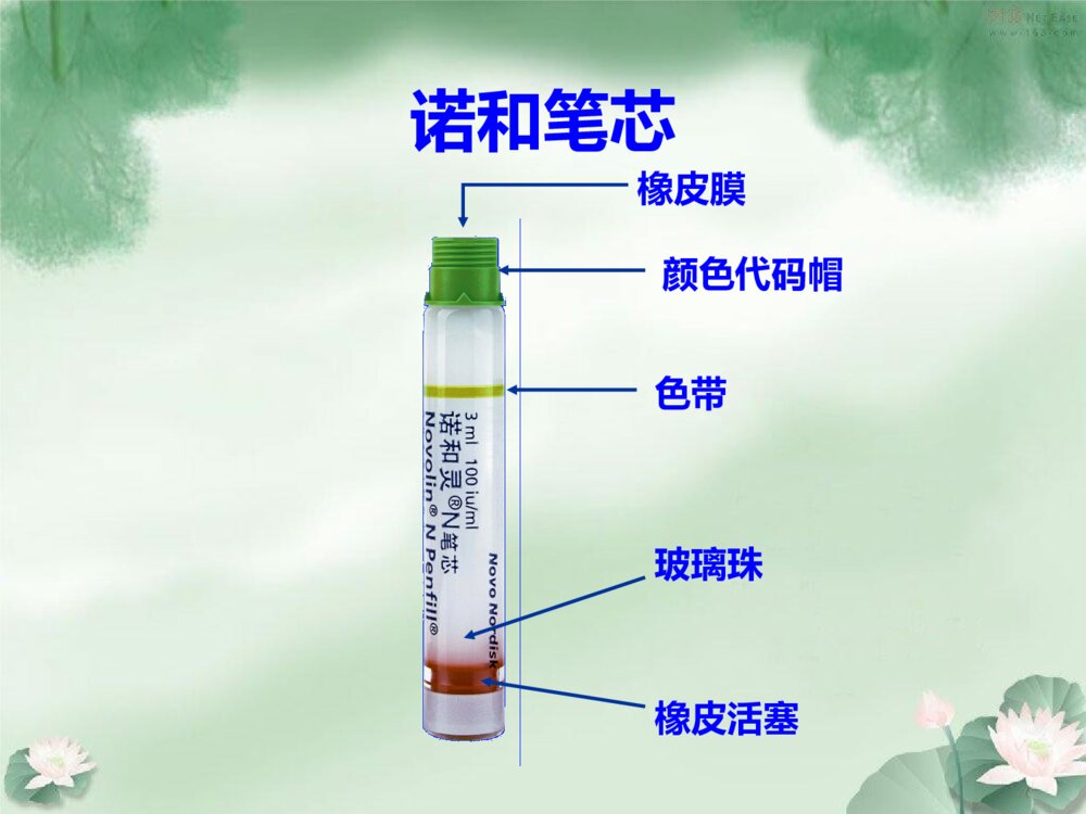 各种胰岛素笔的安装以及使用ppt课件6