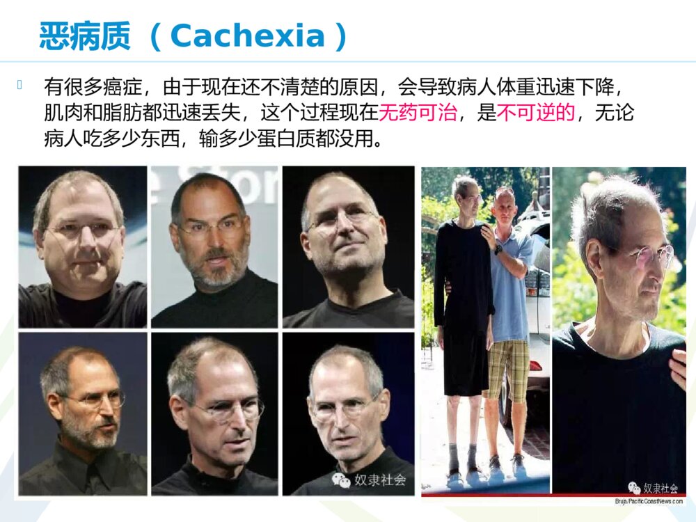 关于癌症的深度科普ppt课件下载6
