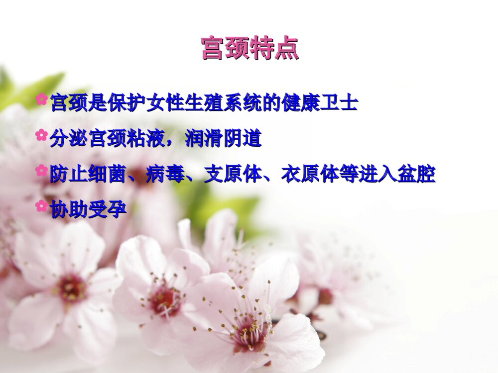 宫颈癌的筛查与防治ppt课件4