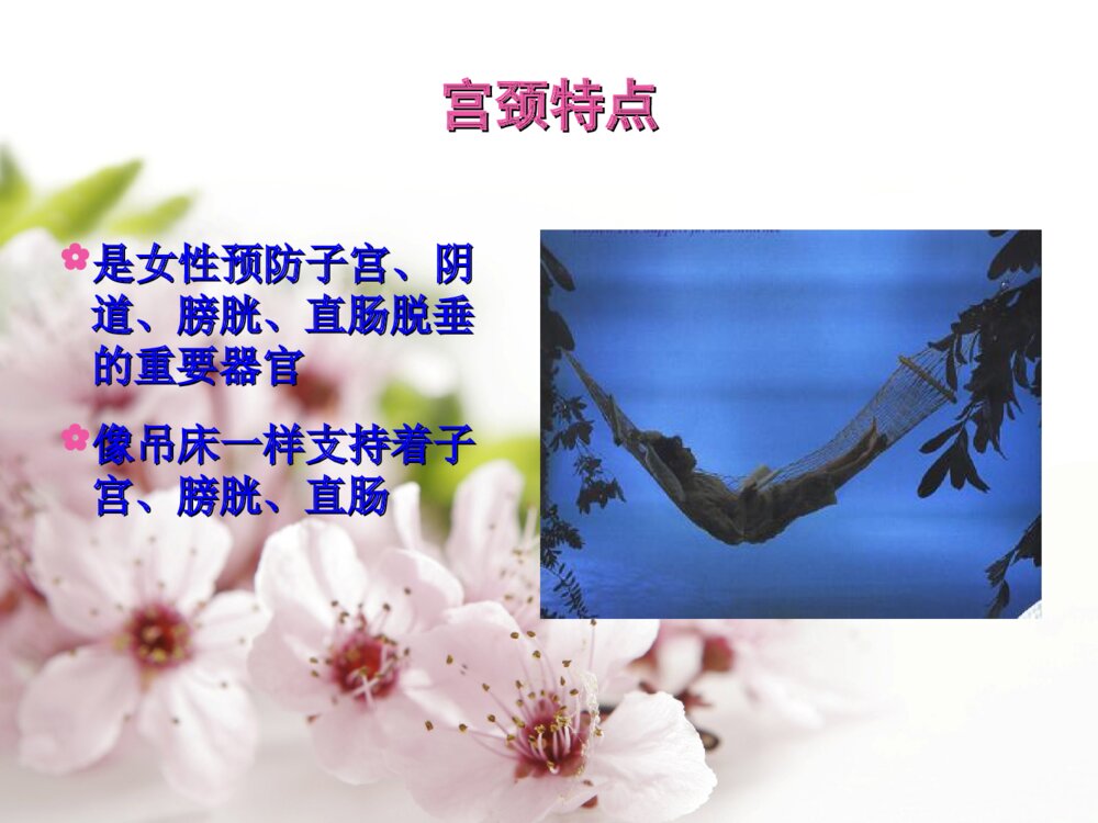 宫颈癌的筛查与防治ppt课件5