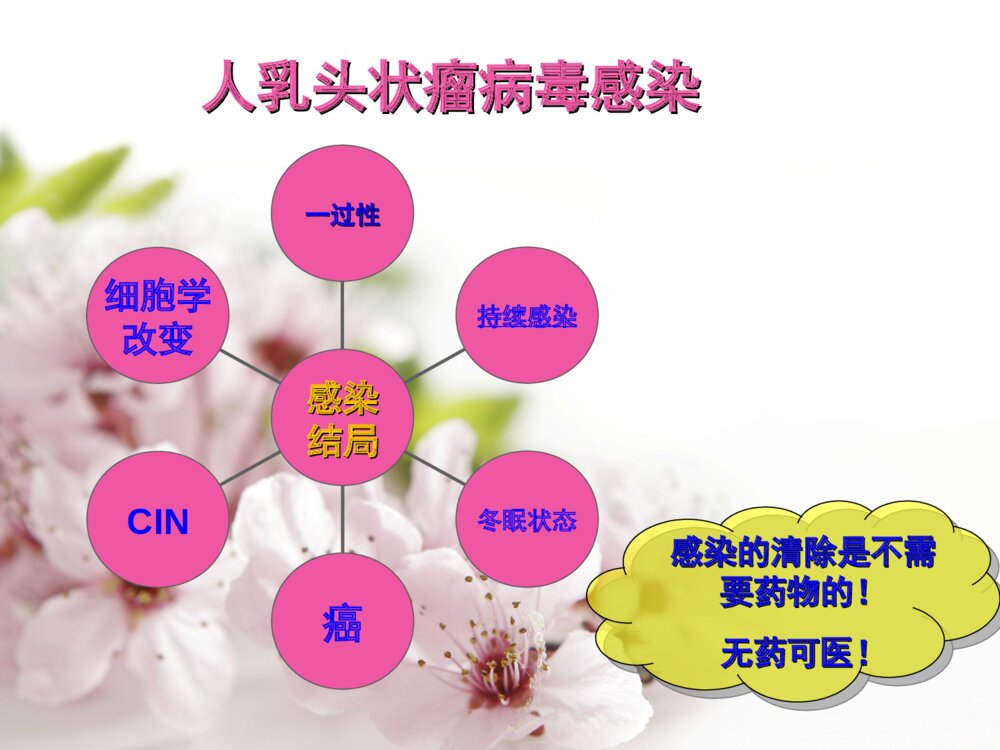 宫颈癌的筛查与防治ppt课件10