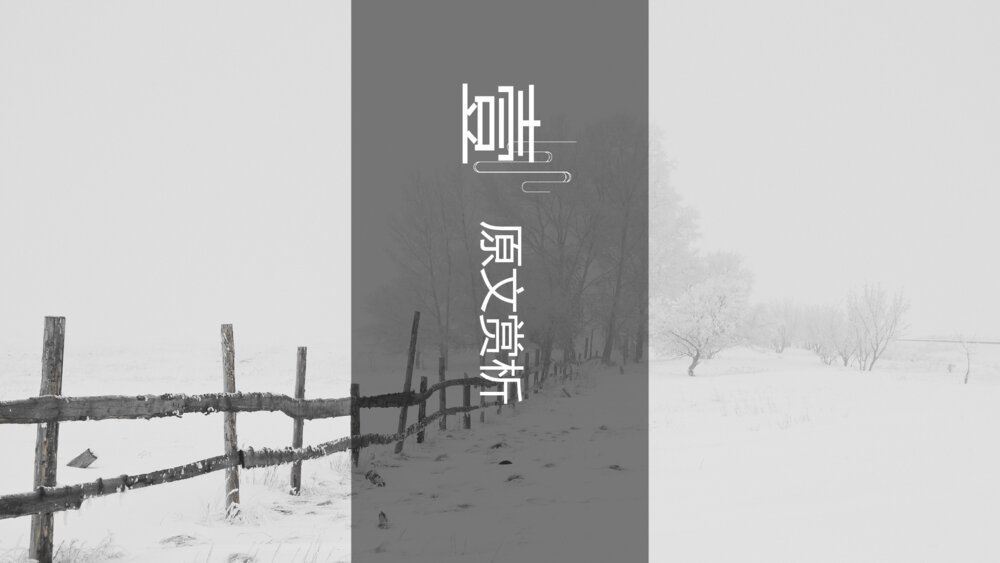 初中语文八年级《卖炭翁》教案教学PPT课件3