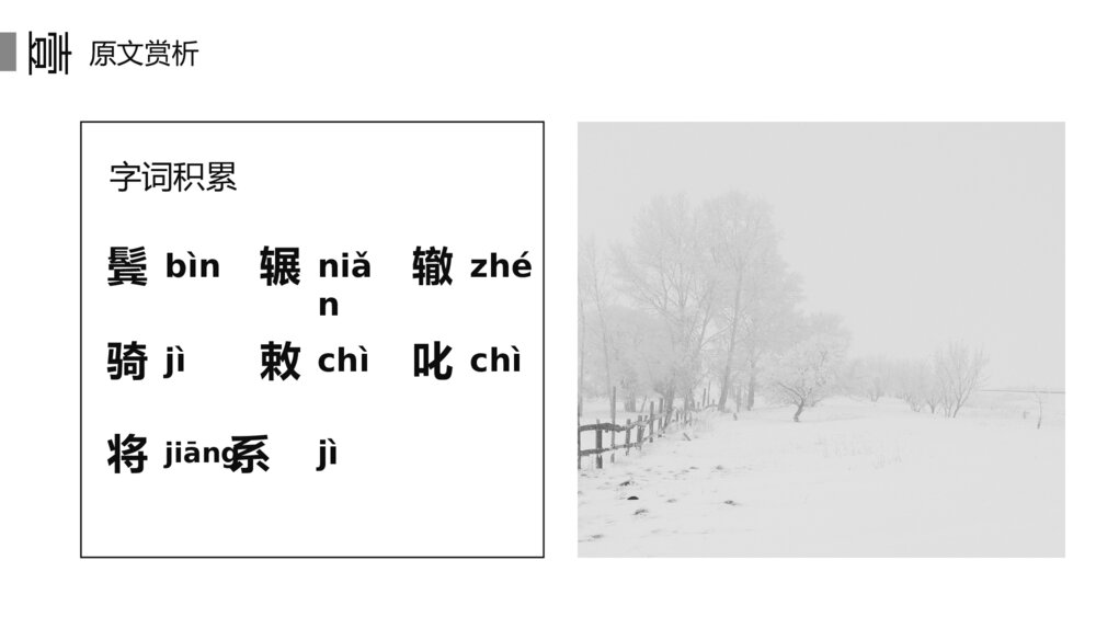 初中语文八年级《卖炭翁》教案教学PPT课件5