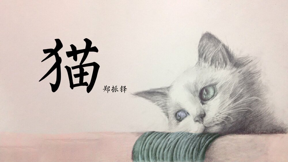 《猫》语文初中七年级郑振铎教学PPT课件1