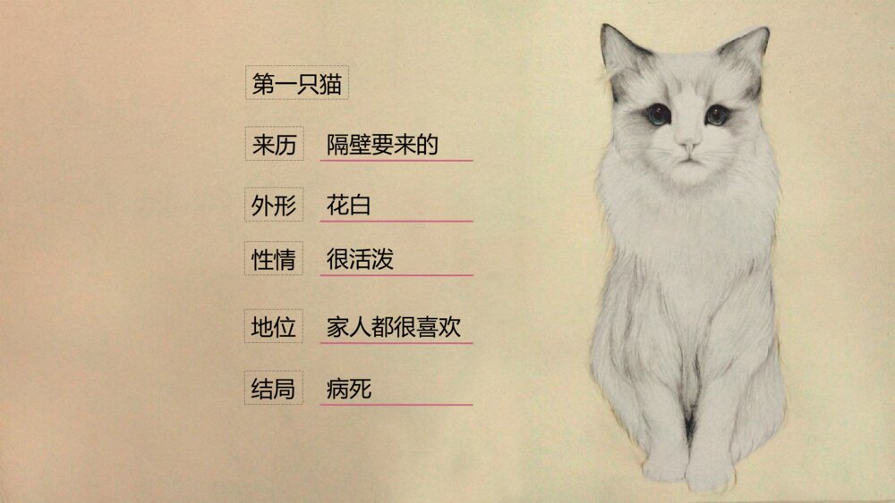 《猫》语文初中七年级郑振铎教学PPT课件3