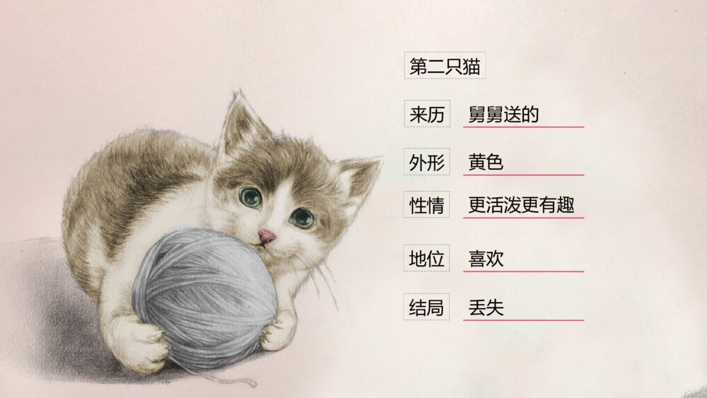 《猫》语文初中七年级郑振铎教学PPT课件4