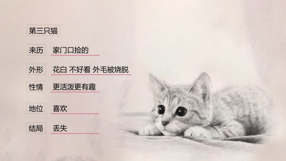 《猫》语文初中七年级郑振铎教学PPT课件5
