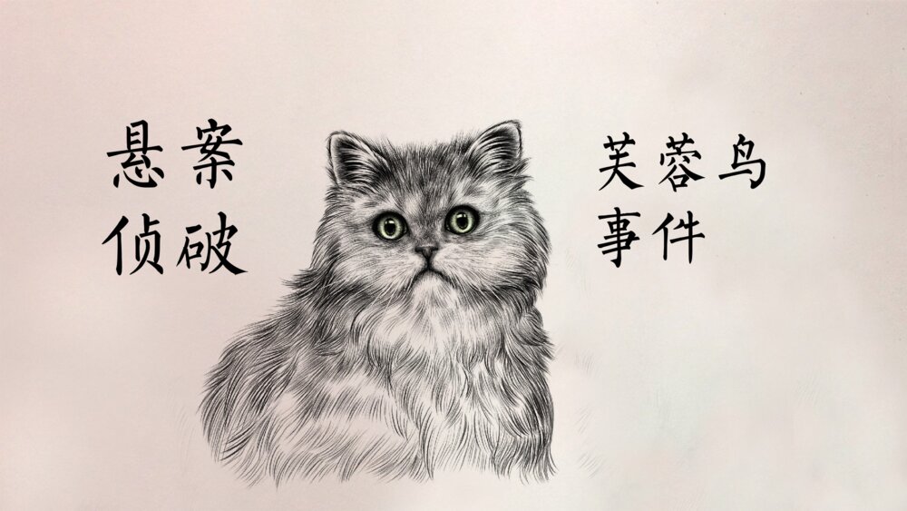《猫》语文初中七年级郑振铎教学PPT课件6