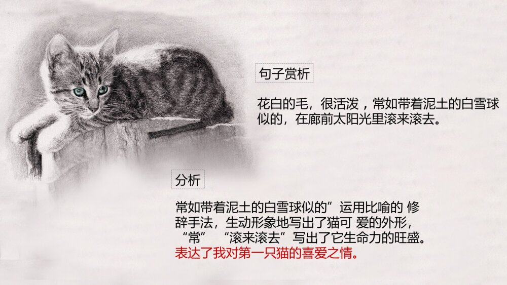 《猫》语文初中七年级郑振铎教学PPT课件7