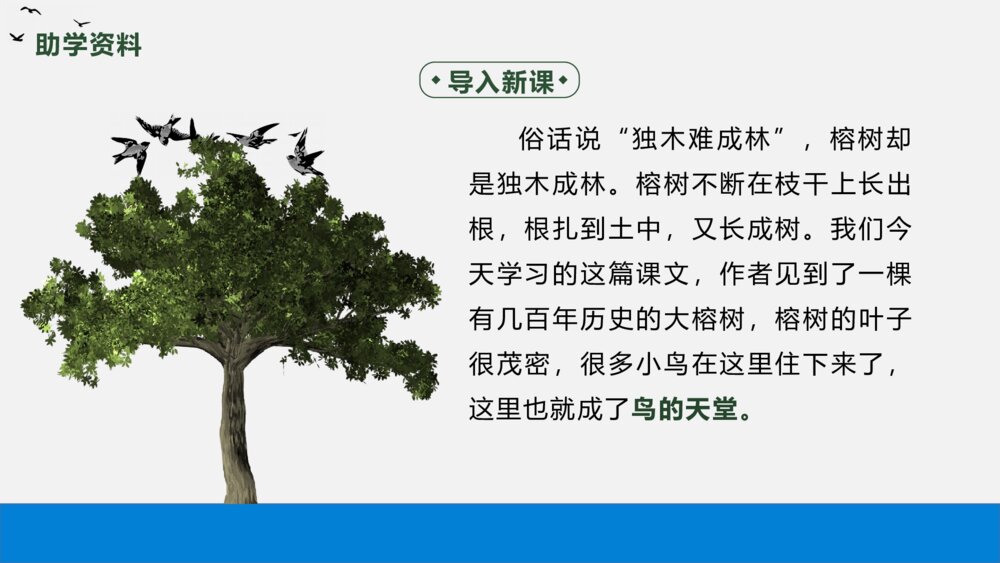 语文五年级上册《鸟的天堂》教学PPT课件4