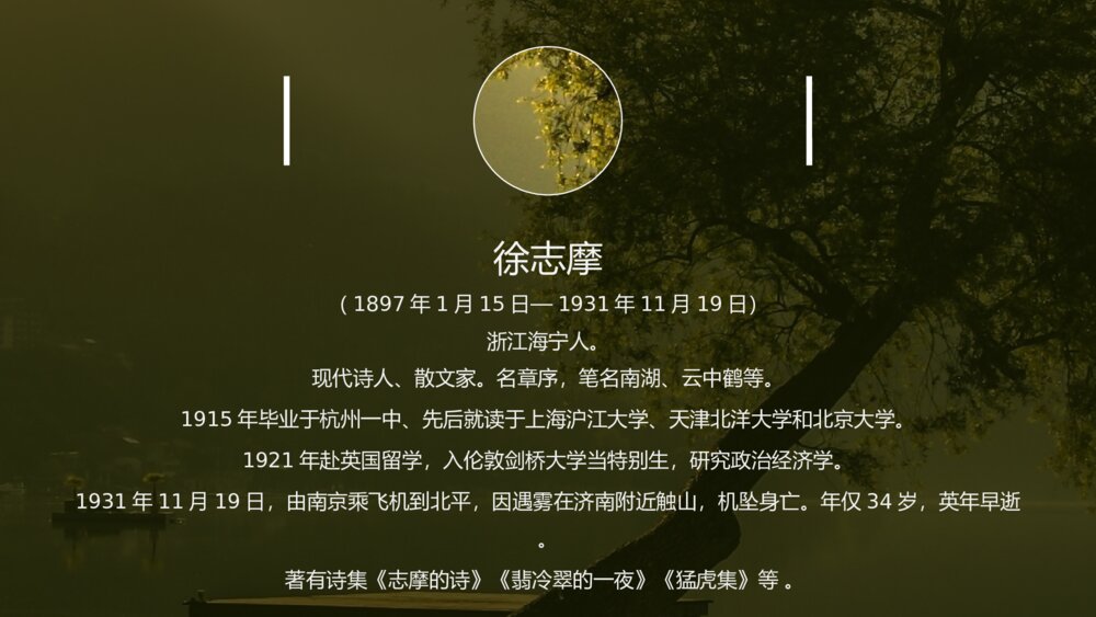 《再别康桥》人教版语文高一必修PPT教学课件4