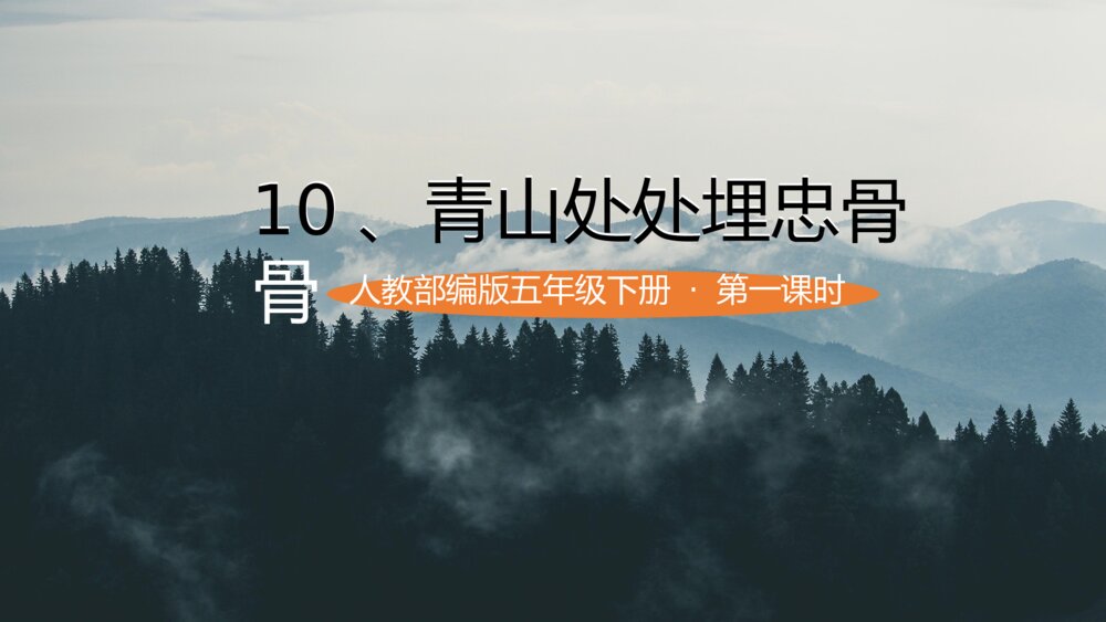 《青山处处埋忠骨》五年级下册语文第一课时课件1