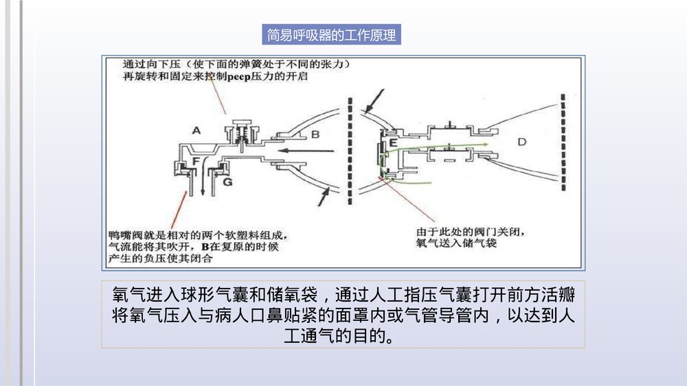 简易呼吸器的使用注意事项PPT课件6