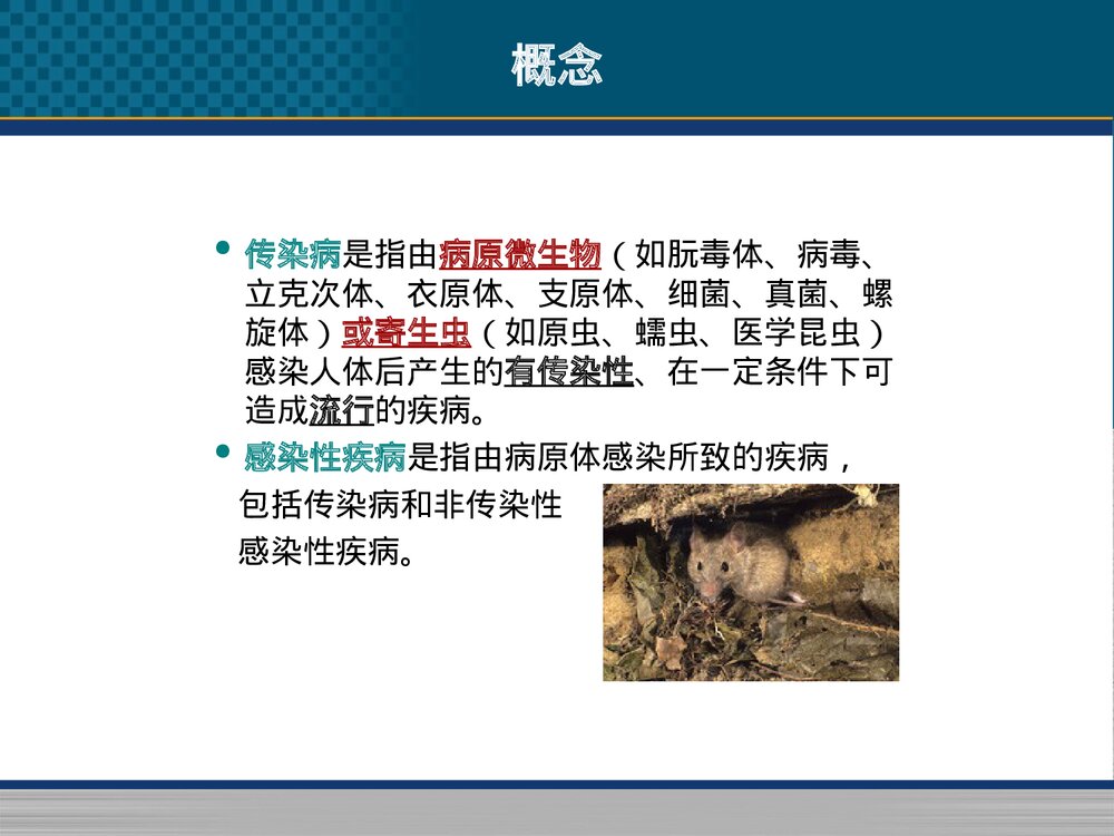 传染病护理学总论PPT课件5