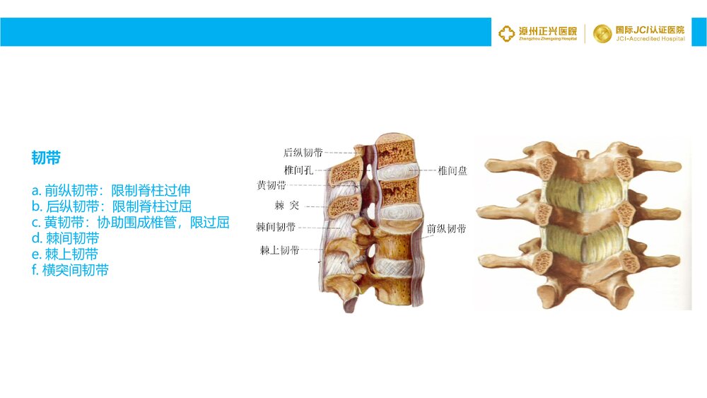 腰椎间盘突出症诊断与治疗PPT课件7