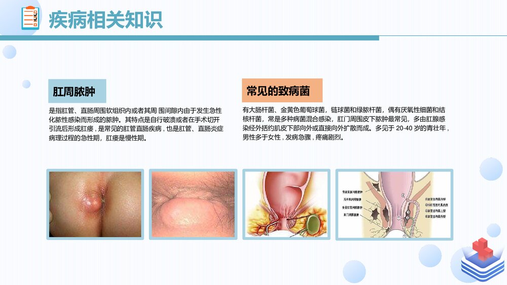 肛肠科护理查房PPT课件4