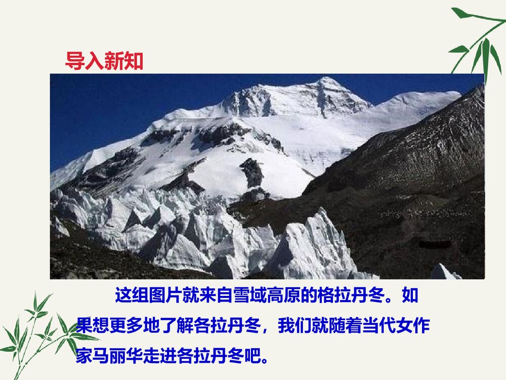 八年级语文下册《在长江源头各拉丹冬》PPT课件2