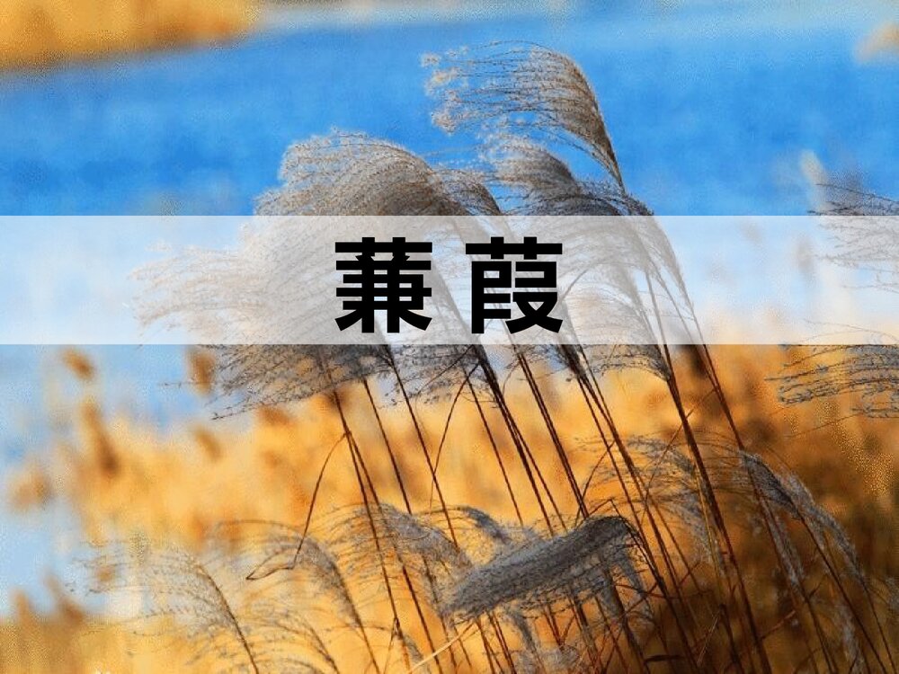 九年级语文上册《秦风·蒹葭》PPT课件1