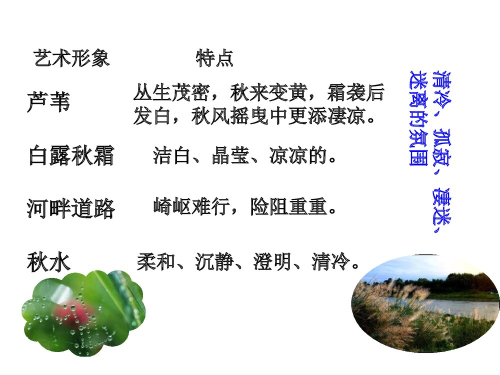 九年级语文上册《秦风·蒹葭》PPT课件3