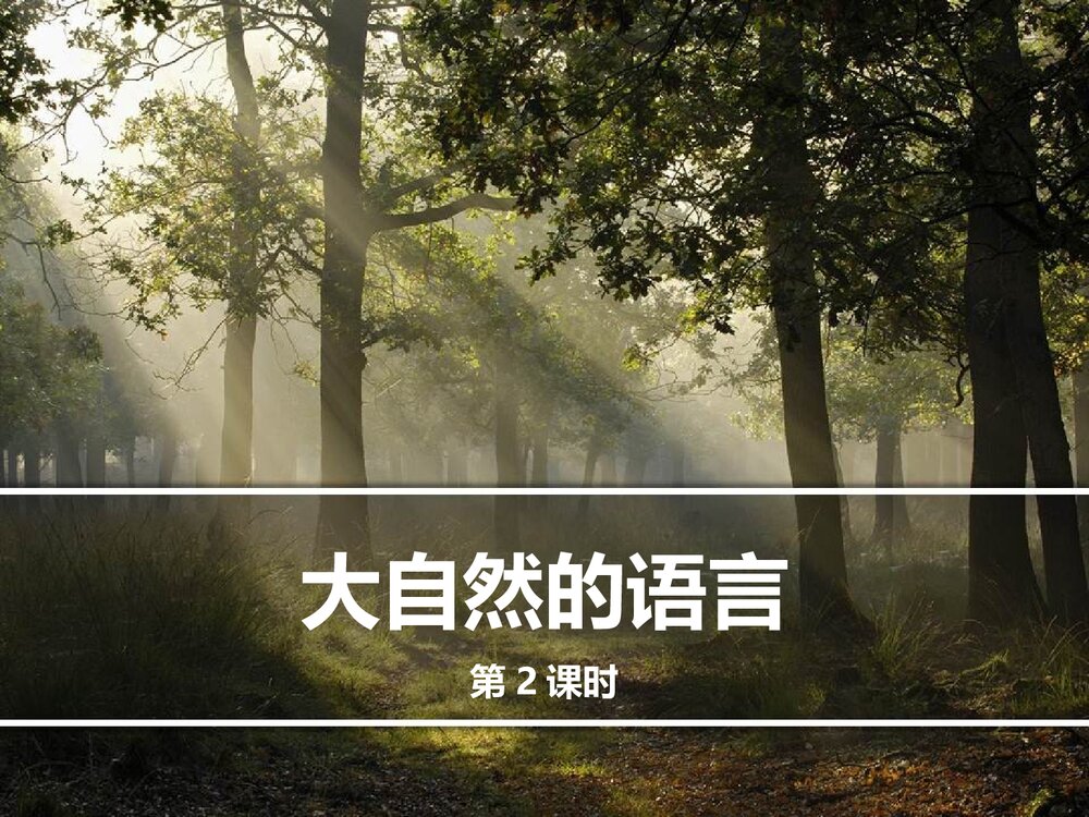 人教部编版八年级语文下册《大自然的语言》PPT课件第2课1