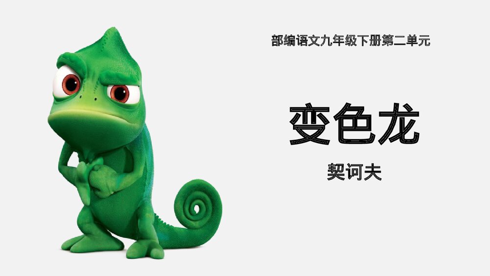 《变色龙》部编版语文九年级下册教学PPT课件1