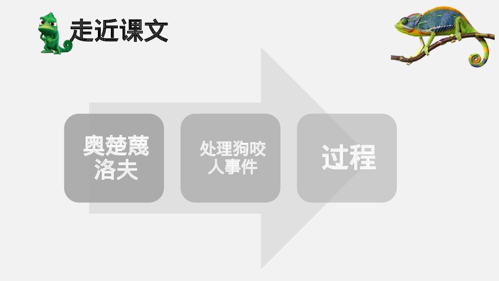 《变色龙》部编版语文九年级下册教学PPT课件10