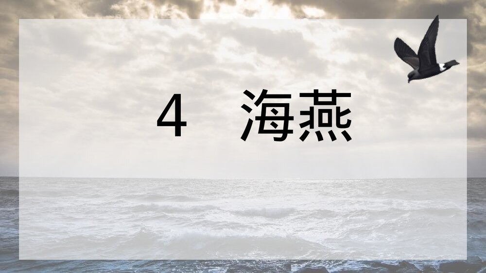 《海燕》九年级语文下册教学PPT课件1