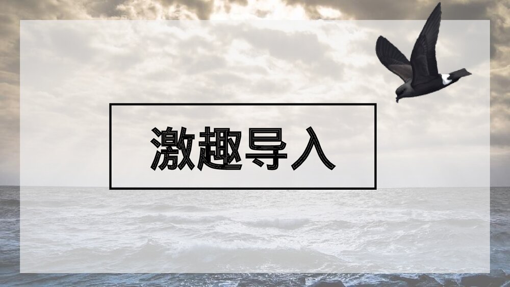 《海燕》九年级语文下册教学PPT课件4