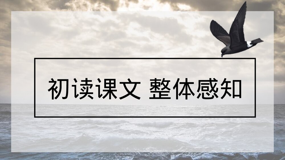 《海燕》九年级语文下册教学PPT课件5