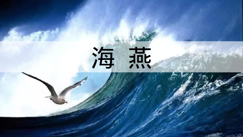 初中语文九年级《海燕》教学PPT课件1