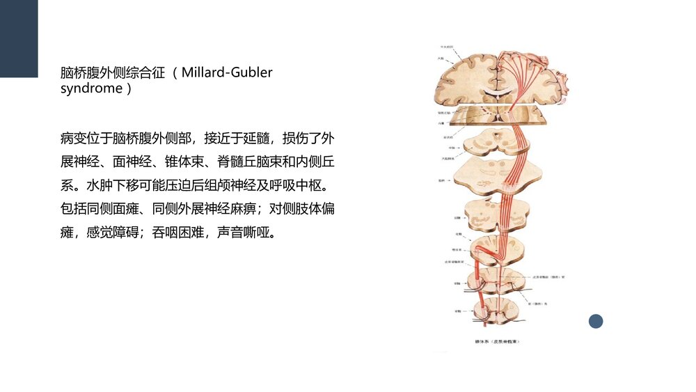 一例桥脑出血的护理个案分享PPT课件3
