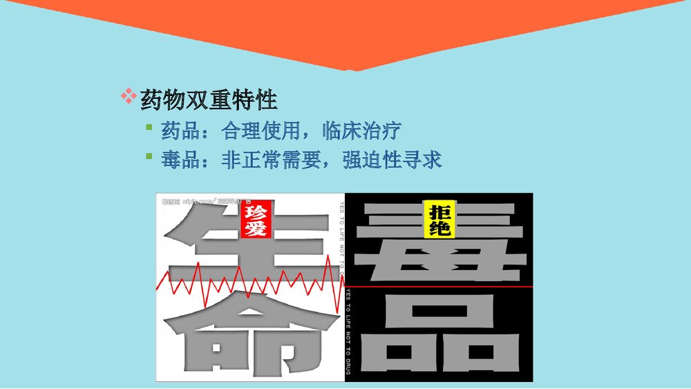 麻醉药品、精神药品(第一类)的管理和使用PPT课件8