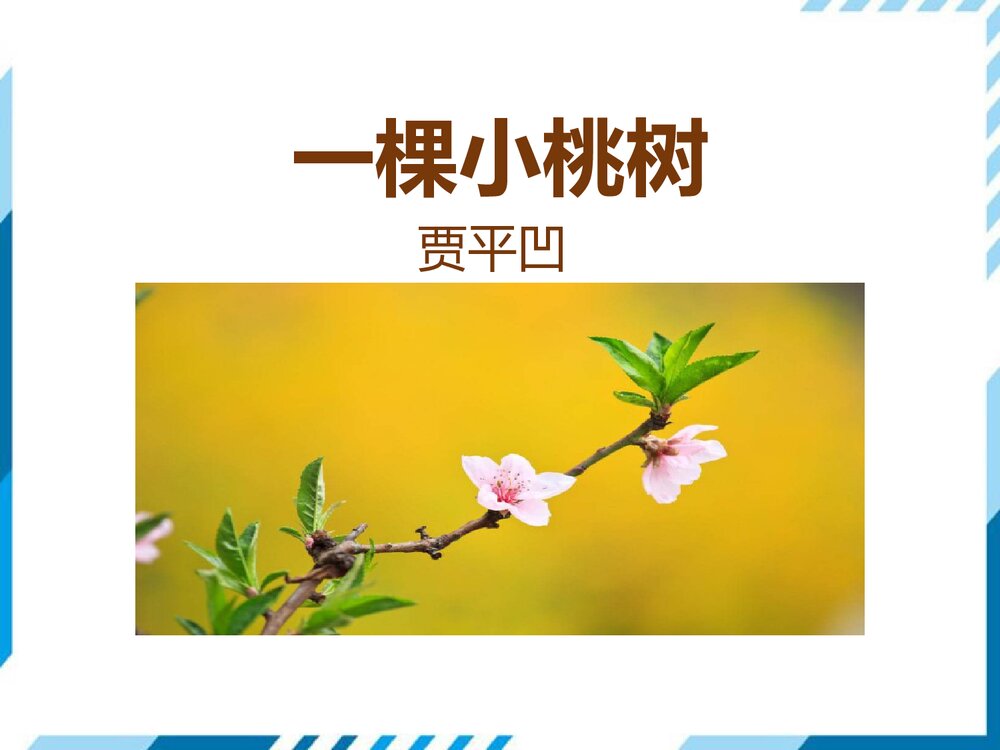 部编版七年级下册语文第5单元《18 一棵小桃树》PPT教学课件1