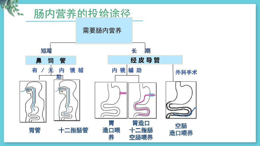 危重病人肠内营养支持与护理PPT课件10